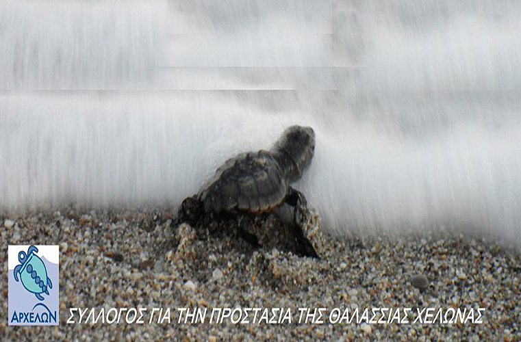 Ο Σύλλογος Αρχέλων την Κυριακή 19 Φεβρουαρίου κάνει τον απολογισμό της χρονιάς 2011